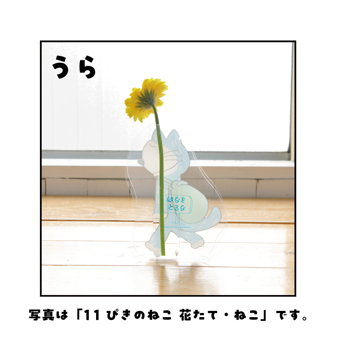 11ぴきのねこ花たて・とらねこ大将